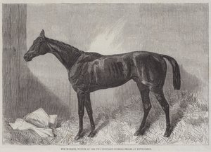 The Marquis, Winner of the Two Thousand Guineas Stakes at Newmarket by Harry Hall