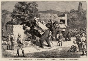 Afghanistan, fortifying a Position, Elephants razing Outbuildings