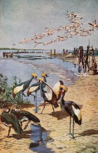 The Northern Shores of Lake Chad, as seen by Denham by Harry Hamilton Johnston