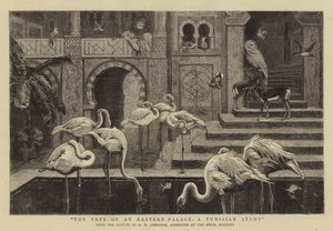 The Pets of an Eastern Palace, a Tunisian Study by Harry Hamilton Johnston