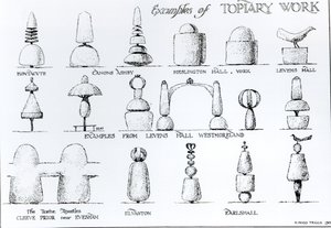 Examples of Topiary Work, 1902 by Harry Inigo Triggs