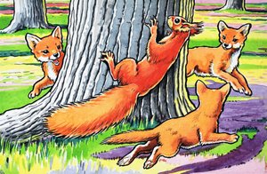 Little Red Squirrel by Harry M. Pettit