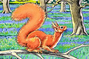 Little Red Squirrel by Harry M. Pettit