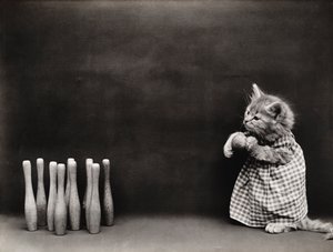 Kitties Series: Bowling, c.1914