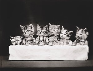 Kitties Series: Last Supper, c.1914