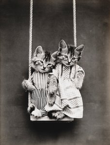 Kitties Series: On a Swing, c.1914