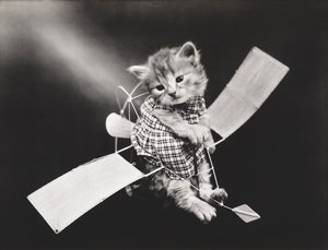 Kitties Series: Pilot Flying Plane, c.1914