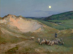 Evening on the Dunes