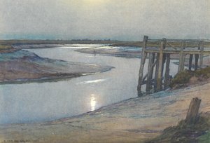 Moonlight - Rye