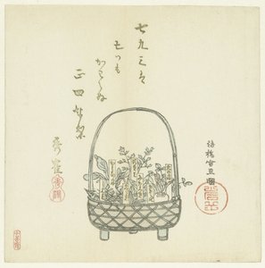 A Basket of Young Shoots