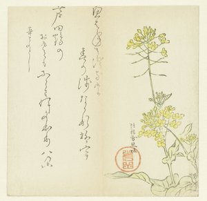 Flowers by Hasegawa Settan