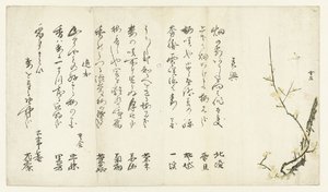 Plum Tree by Hasegawa Settan