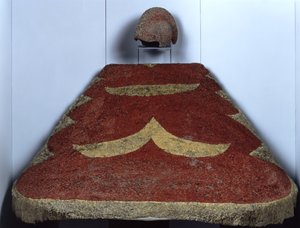 Cloak and feather hat