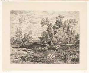 Herd of Cows by a Pond