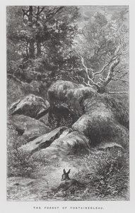 The Insect: The Forest of Fontainebleau by Hector Giacomelli