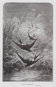 The Insect: The Pursuit by Hector Giacomelli