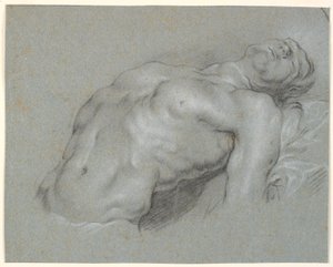 Upper Body of a Strongly Reclining Male Model