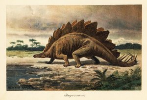 Stegosaurus Armatus of the Late Jurassic by Heinrich Harder