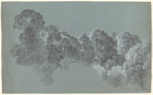 Forest Treetops Struck by Light