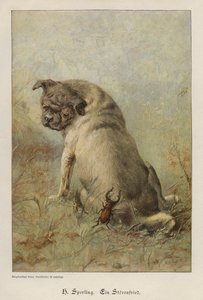 A Troublemaker by Heinrich Sperling