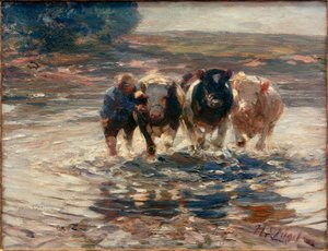 Through the Ford