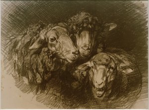 Sheep by Heinrich von Zügel