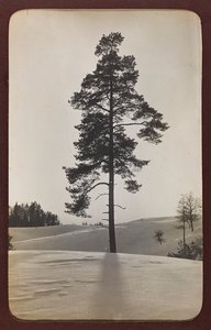 First World War: The Ukraine in the Years 1914-1916 During the Invasion of the German Army. Landscape with Snow by Heldenfriedhof Dsessentniki (attr. to)