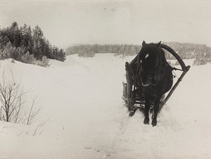 First World War: Ukraine in the years 1914-1916 during the invasion of the German army. A horse-drawn sleigh in the snow (b/w photo)