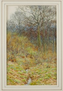 Our Primrose Wood by Helen Allingham