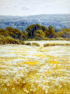 Oxeye Daisies, near Westerham, Kent by Helen Allingham