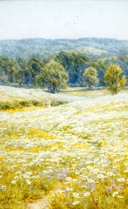 Oxeye Daisies, near Westerham, Kent by Helen Allingham