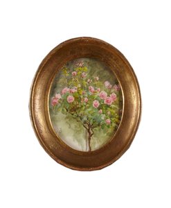 Rose Bush