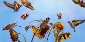 A Charm of Goldfinches