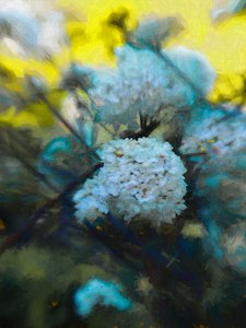 Blooming Maytime by Helen White