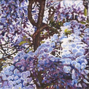 Blue Wisteria by Helen White