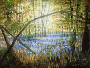 Bluebell Glade, 2024 by Helen White