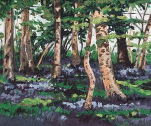Bluebell Wood