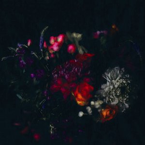 Dark Floral by Helen White