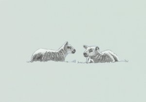 Gentle Spirit III