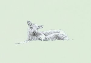 Gentle Spirit II