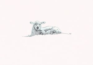 Gentle Spirit VI