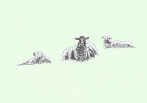 Gentle Spirits IV