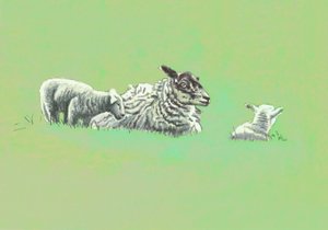 Gentle Spirits VIII