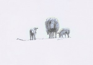 Gentle Spirits V