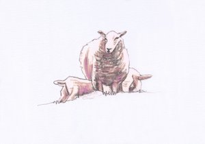 Gentle Spirits X