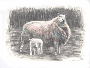 Proud, 2016