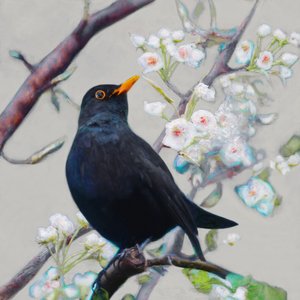 Song of Summer by Helen White