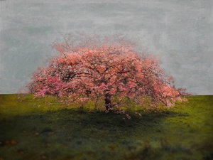 Stand Alone Beauty, 2019