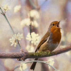 Sweetest Song by Helen White