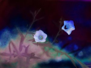 Transience, 2019